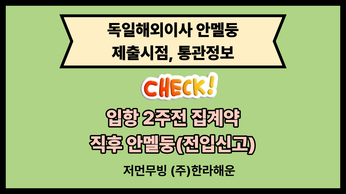 독일 이사 비용 100만 원 아끼는 법: 안멜둥(Anmeldung)과 세관 통관의 비밀 독일해외이사 안멜둥 체크사항